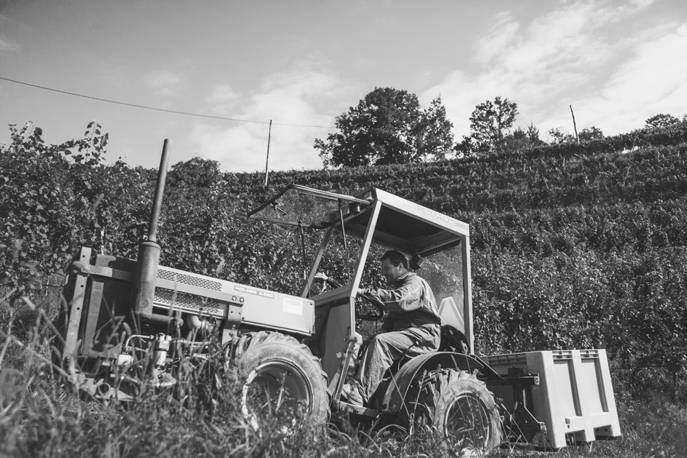Weingartentraktor